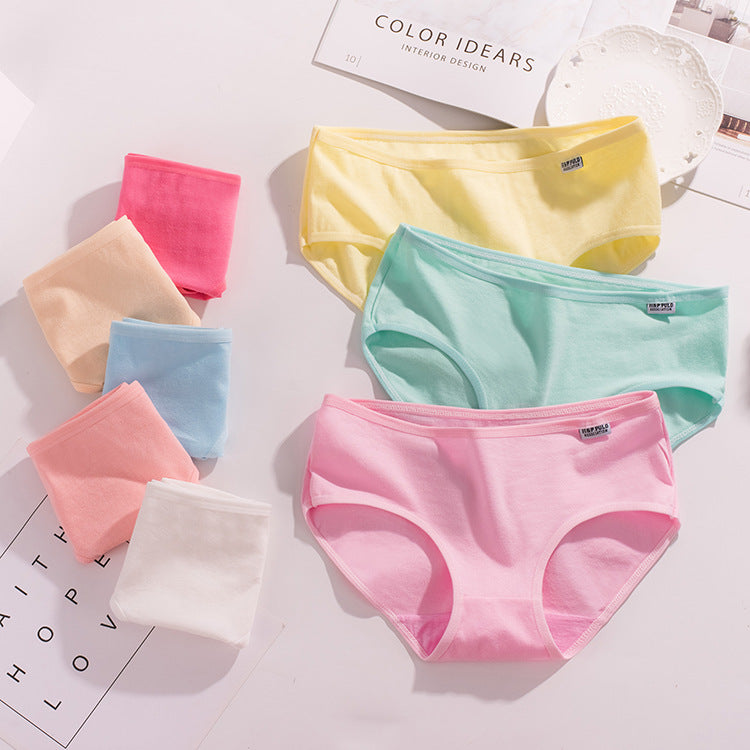 Cotton Medium Low Waist Plus Size Underwear Girls - ROMART GLOBAL LTD